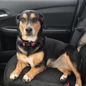 Meet your Posher, Ronald